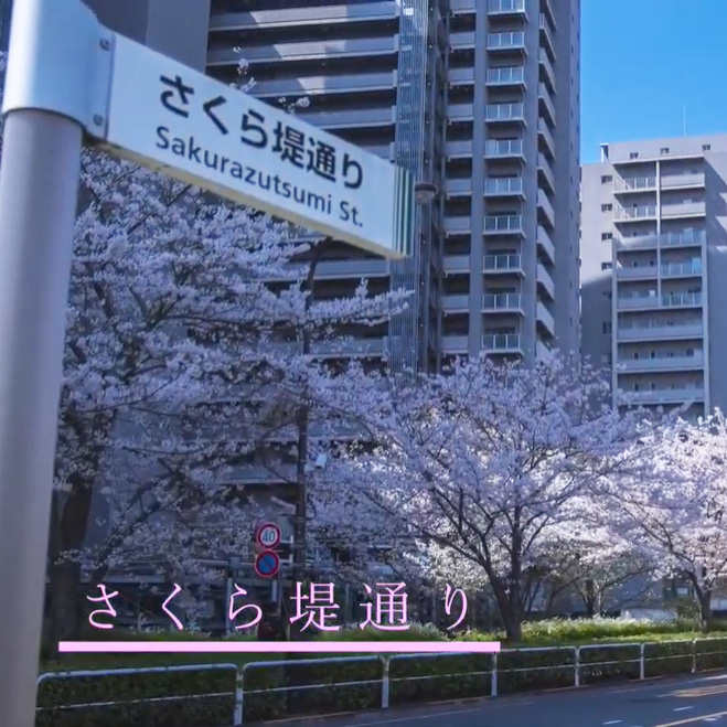 東京都荒川区「さくら堤通り」周辺環境の動画